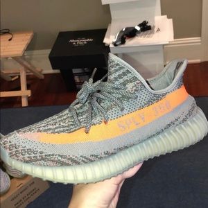 Yeezy 350 V2 Beluga 1.0